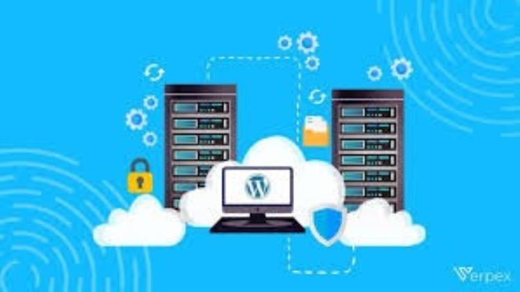 Unlocking Potential: The Power of WordPress Virtual Servers and Premium WordPress Hosting
