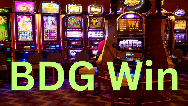 Your Winning Journey Starts at BDG Win Game